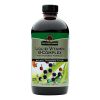 Nature's Answer - Liquid Vitamin B-complex - 16 Fl Oz