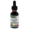 Propolis Extract AF - 1000mg by Natures Answer for Unisex - 1 oz Dietary Supplement