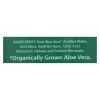 Real Aloe Aloe Vera Gelly - Tube - 6.8 Oz